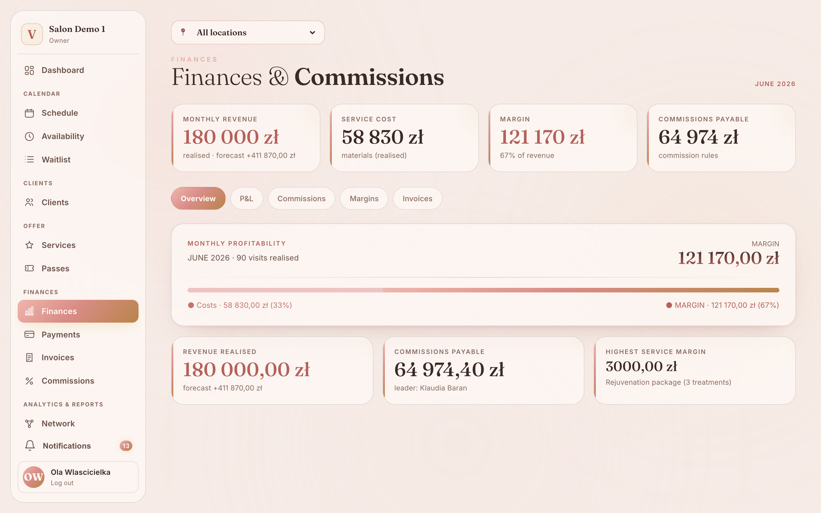 Vibraé finances — revenue, margin and team commissions
