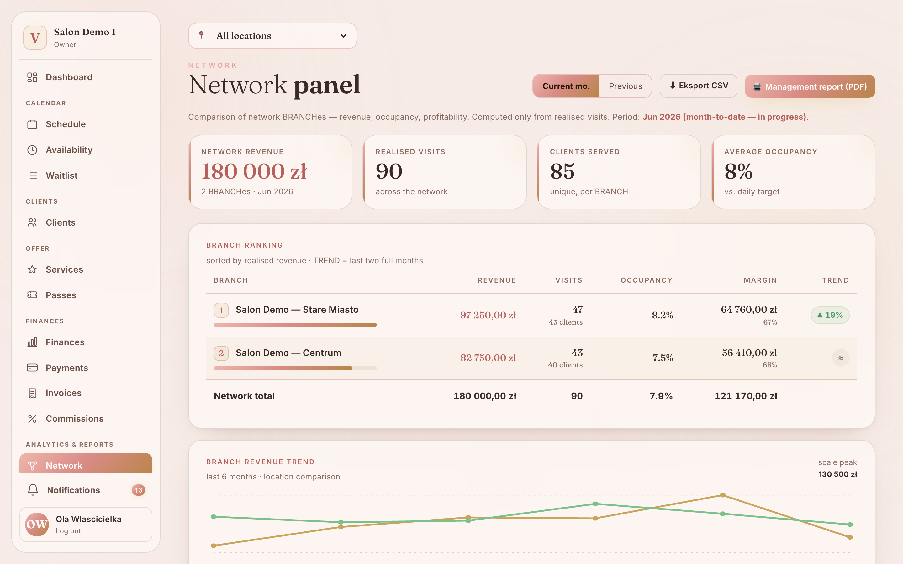 Vibraé Beauty network panel — branch ranking, network revenue, P&L and revenue trend